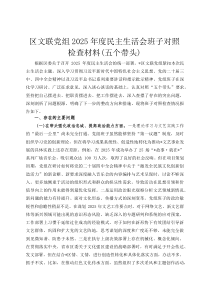 区文联党组2026年度民主生活会班子对照检查材料（五个带头）