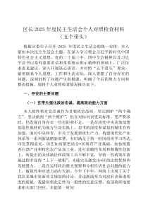 区长2026年度民主生活会个人对照检查材料（五个带头）