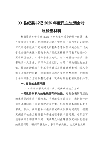 县纪委书记2026年度民主生活会对照检查材料