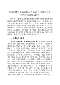 控股集团直属党支部关于2026年度落实全面从严治党情况的报告
