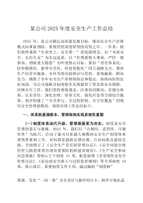 某公司2026年度安全生产工作总结