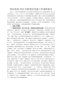 某局党组2026年抓基层党建工作述职报告