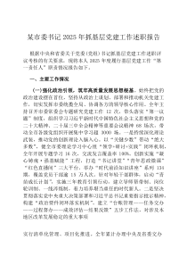 某市委书记2026年抓基层党建工作述职报告
