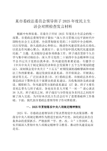 某市委政法委员会领导班子2026年度民主生活会对照检查发言材料
