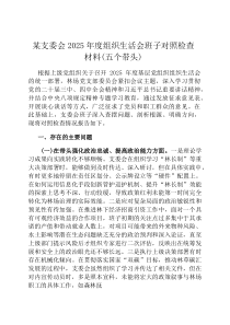 某支委会2026年度组织生活会班子对照检查材料(五个带头)