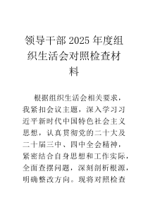 领导干部2026年度组织生活会对照检查材料