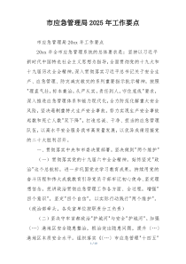 市应急管理局2025年工作要点