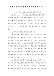 市审计局2025年法治政府建设工作要点