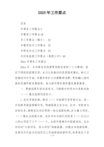 2025年工作要点