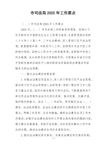 市司法局2025年工作要点