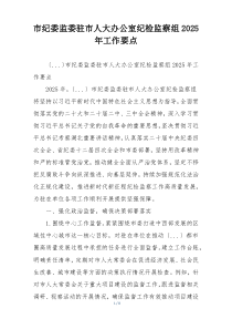 市纪委监委驻市人大办公室纪检监察组2025年工作要点