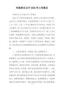 市政府办公厅2025年工作要点