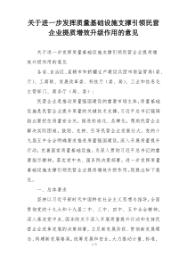 关于进一步发挥质量基础设施支撑引领民营企业提质增效升级作用的意见