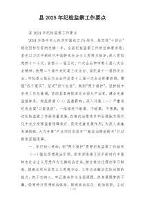 县2025年纪检监察工作要点