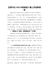 区委书记2026年抓基层D建工作述职报告2