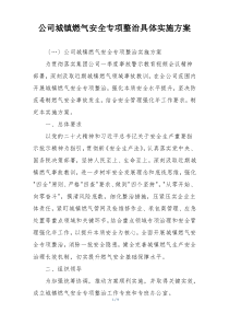 公司城镇燃气安全专项整治具体实施方案