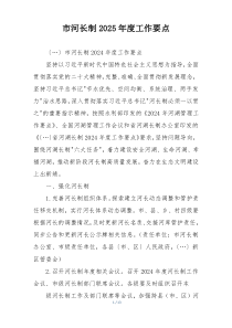 市河长制2025年度工作要点