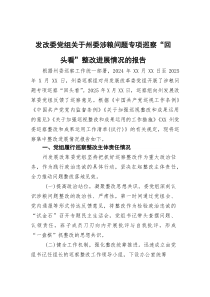 发改委党组关于州委涉粮问题专项巡察“回头看”整改进展情况的报告