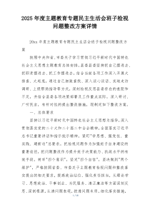 2025年度主题教育专题民主生活会班子检视问题整改方案详情