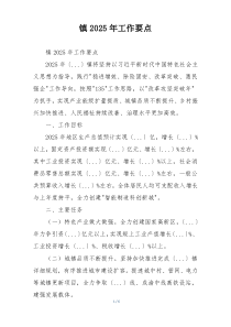 镇2025年工作要点
