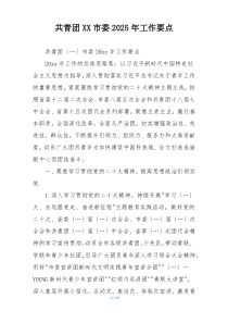 共青团XX市委2025年工作要点