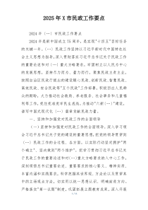2025年X市民政工作要点