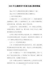 2025年主题教育中的意见建议整理精编