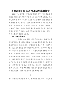 市发改委D组2026年度述职述廉报告(1)