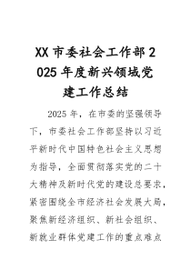 市委社会工作部2026年度新兴领域党建工作总结