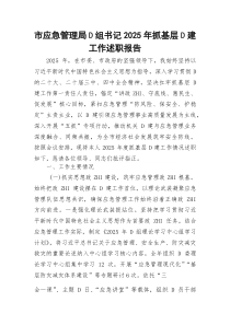 市应急管理局D组书记2026年抓基层D建工作述职报告