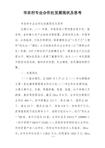 市农村专业合作社发展现状及思考