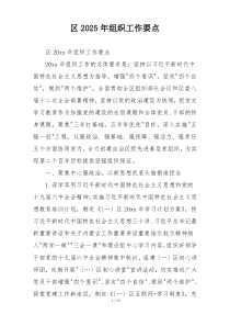 区2025年组织工作要点