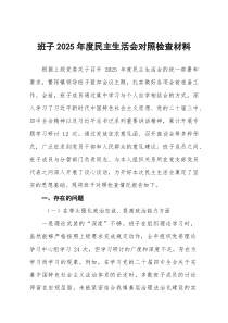 班子2026年度民主生活会对照检查材料(含案例剖析）