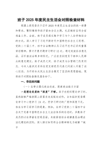 班子2026年度民主生活会对照检查材料