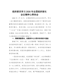 组织委员学习2026年全国组织部长会议精神心得体会