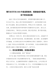 银行支行行长2026年度述职报告：砥砺奋进开新局，实干担当促发展