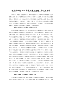 镇党委书记2026年度抓基层党建工作述职报告