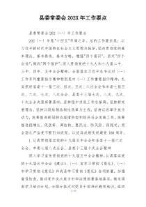 县委常委会202X年工作要点