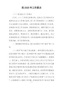 局2025年工作要点