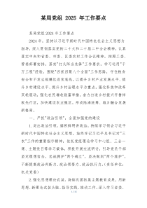 某局党组 2025 年工作要点