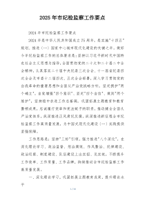 2025年市纪检监察工作要点
