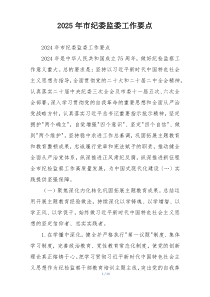 2025年市纪委监委工作要点