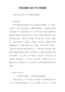 市发改委2025年工作谋划