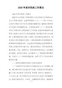 2025年某市民政工作要点