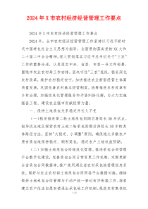2026年X市农村经济经营管理工作要点