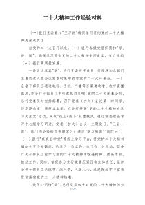 二十大精神工作经验材料