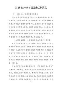 XX高校2025年度党委工作要点