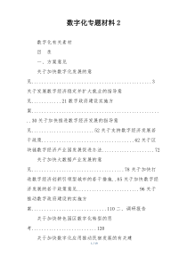 数字化专题材料2