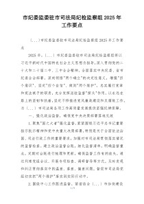 市纪委监委驻市司法局纪检监察组2025年工作要点