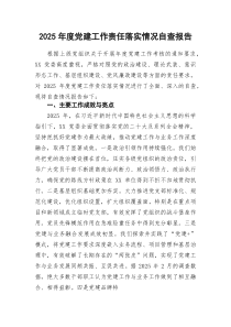 2026年度党建工作责任落实情况自查报告.docx